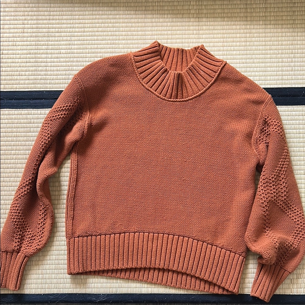 Everlane Terracotta Women's Turtleneck Sweater